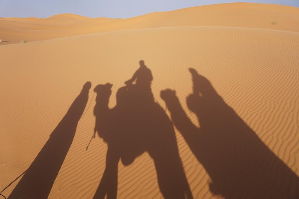 Sahara Camel Tours Camp 호텔 메르주가 객실 사진