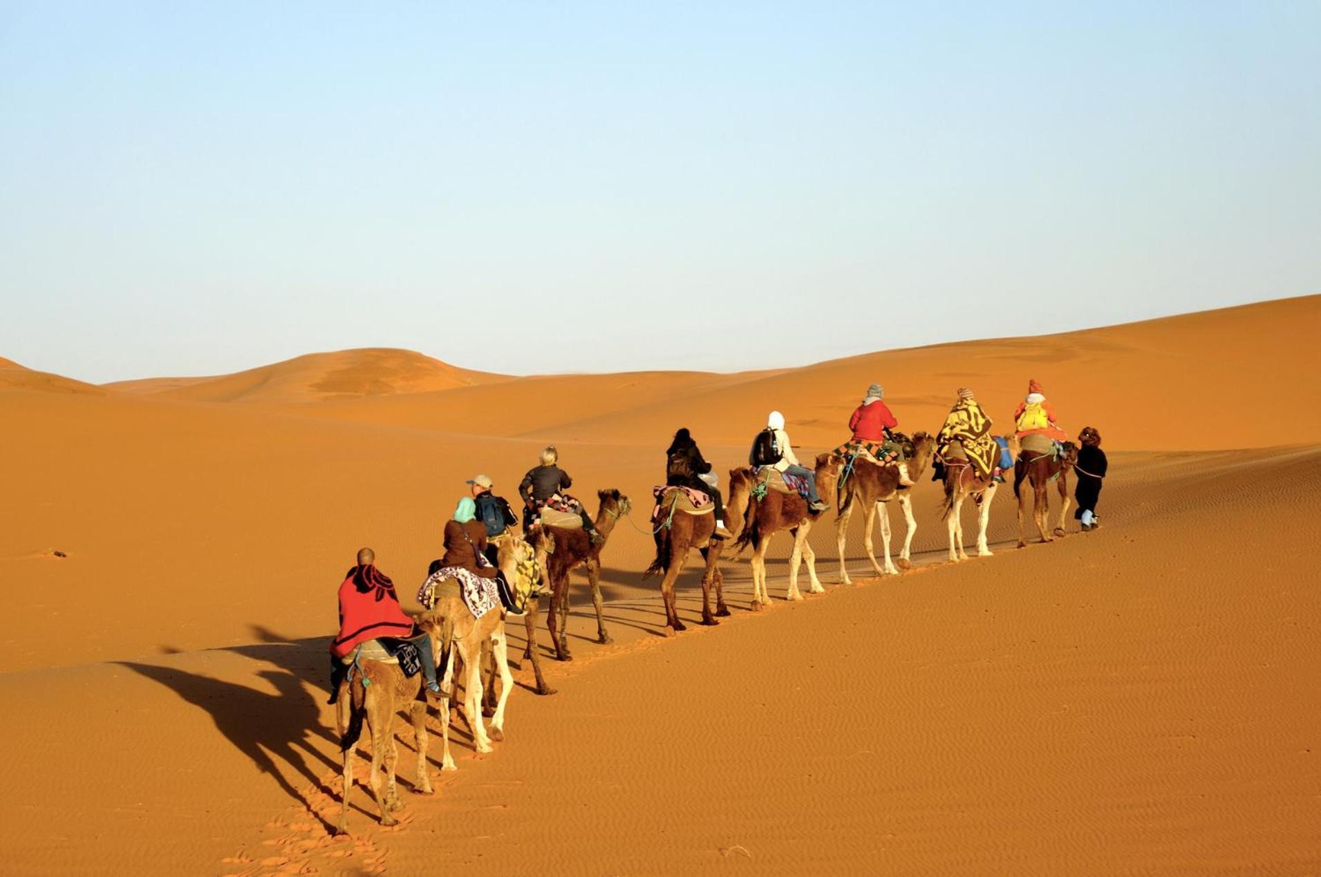 Sahara Camel Tours Camp 호텔 메르주가 외부 사진